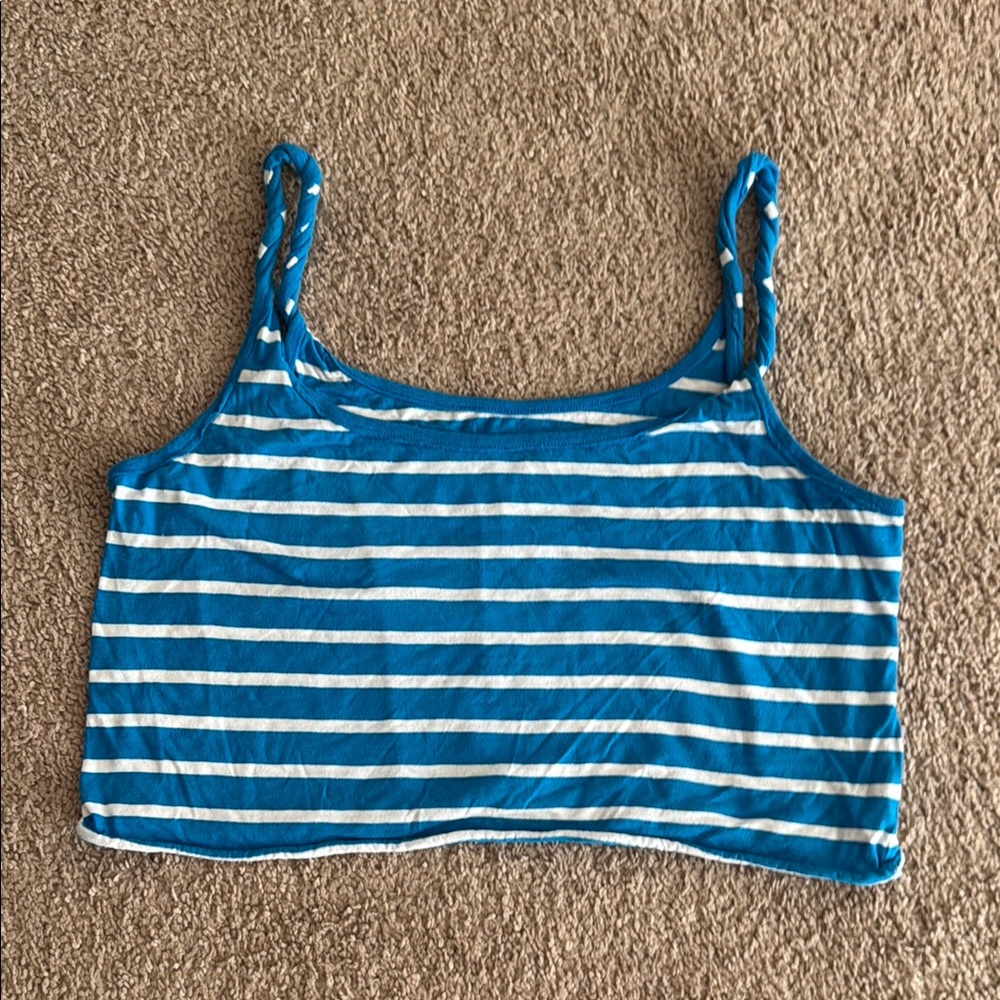 Aerie Blue and White Striped Crop Top